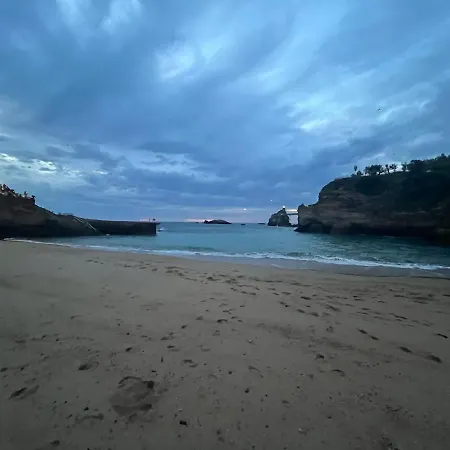 Argia - Large Beach, Center, Swimming Pool- Biarriz